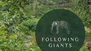 Elephant Sanctuary Tour