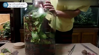 "آموزش ساخت تراریوم: چگونه یک باغ شیشه‌ای زیبا بسازیم؟"