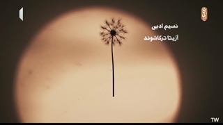 سریال ناریا قسمت 31