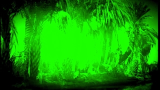 باب الحوائج برآورنده حاجات حضرت ابالفضل العباس علیه السلام