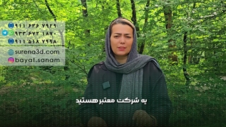 طراحی سایت در ایلام