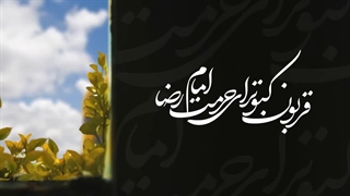 قوربون کبوترای حرمت امام رضا