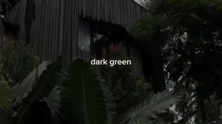 ༺ ?)^(GREEN DARK)^(  ༻DO you LOVE  dark GREEN ༻