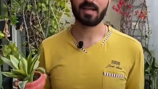 شروط اولیه برای داشتن گیاه در خانه