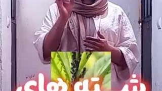 دستگاه دفع حشرات چیست و چرا به آن نیاز داریم؟