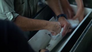 فیلم ساحل کوسه با آنتونی مکی (Shark Beach with Anthony Mackie)