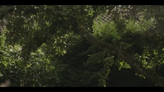 سریال هارالد و سونیا فصل 1 قسمت 1 (Harald og Sonja S1 E1)