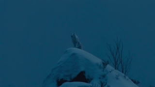 سریال کاموی طلایی: شکار زندانیان در هوکایدو فصل 1 قسمت 1 (Golden Kamuy: The Hunt of Prisoners in Hokkaido S1 E1)