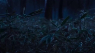 سریال کاموی طلایی: شکار زندانیان در هوکایدو فصل 1 قسمت 6 (Golden Kamuy: The Hunt of Prisoners in Hokkaido S1 E6)