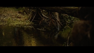 سریال ژاکت زردها فصل 3 قسمت 8 (Yellowjackets S3 E8)