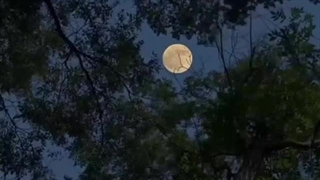 پارت اول رمان برایم حرف بزن (SPEAK FOR ME)