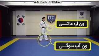 فرمدر تکواندو