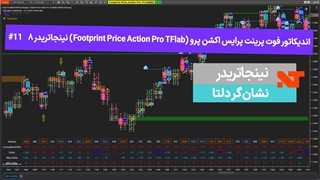 اندیکاتور فوت پرینت پرایس اکشن پرو (Footprint Price Action Pro TFlab) نینجاتریدر8  #11 نشان‌گر دلتا - [تریدینگ فایندر]