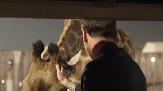 لیونل مسی در مرکز نگهدای از حیوانات ونتارا در هند