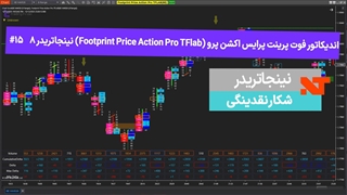 اندیکاتور فوت پرینت پرایس اکشن پرو (Footprint Price Action Pro TFlab) نینجاتریدر8  #15 شکار نقدینگی - [تریدینگ فایندر]
