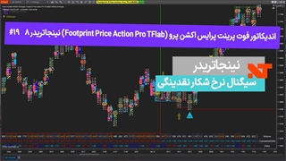 اندیکاتور فوت پرینت پرایس اکشن پرو (Footprint Price Action Pro TFlab) نینجاتریدر 8   #19 سیگنال نرخ شکار نقدینگی