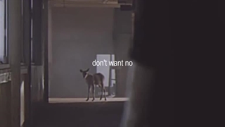 — سه سال از انشار ملکه ی نازم گذشت...