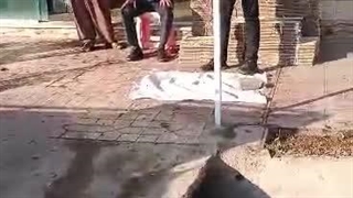 خشکبار رجایی شعبه اصلی فروش کشمش آفتابی در خلیل آباد شهرکندر