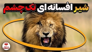 داستان اسکارفیس، افسانه ای ترین شیر تاریخ!