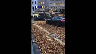 14040929: پیامدهای جنگ اوکراین در اروپا