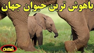 طبیعت پنهان آفریقا