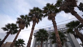 یلدا رنگی از ایران