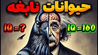 تست هوش عجیب حیوانات!