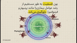 فسفیت_پتاسیم__کود_یا_قارچ_کش؟