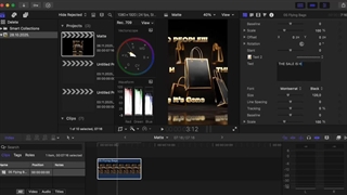 فیلم آموزش Black Friday Golden Loops