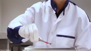 مشکل همه ی ترازوها