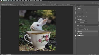 ویدئو آموزش رایگان فتومونتاژ فانتزی در فتوشاپ (2)