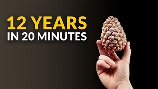 من به مدت ۱۲ سال از گیاهان فیلم گرفتم