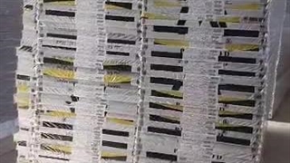 آراس چوب بهراد در کردستان