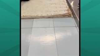 دستگاه بسته بندی نان لواش پیروزپک؛ تازه و بهداشتی