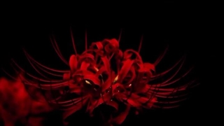 گل هاش خوشگلن مگ نه؟ (: