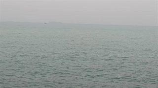 “From Chaos to Calm: 2025”