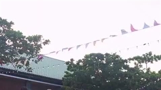 اپدیت تیک تاک کیک فلیپ