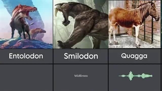 صدای حیوانات منقرض شده