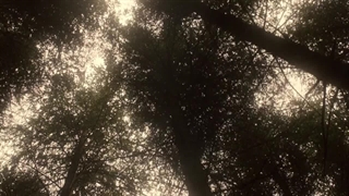 سریال بازی تاج و تخت فصل اول قسمت ششم زیرنویس فارسی چسبیده