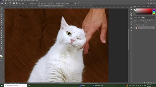 روش قرینه سازی نا متقارن در فتوشاپ