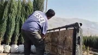 نهالستان استقلال در کوار