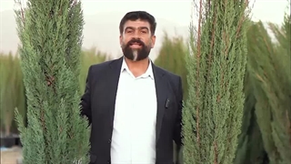 نهالستان استقلال در کوار