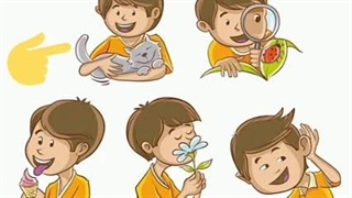 (انرژی های نوین)