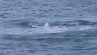 دور‌از‌دسترس‌ قسمت‌10 آخر