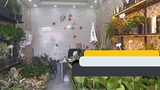 گل فروشی غزل