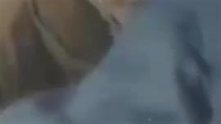 سکانسی از فیلم مسافران بهرام بیضایی