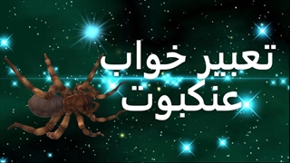 تعبیر خواب عنکبوت