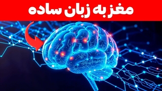 تصویر چهره اجزای اصلی مغز انسان به زبان ساده