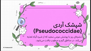 شپشک_آردی__نقشه_جنگی_شما