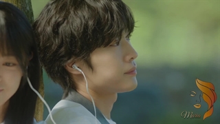 شکل گیری عشق